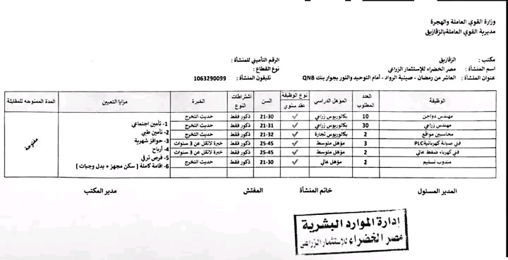 للمؤهلات العليا والدبلومات وظائف وزارة القوي العاملة 2026