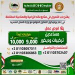 اعلان وظائف خالية وظائف مجمع عمال مصر للمؤهلات العليا والدبلومات 2026