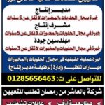وظائف جريدة الأهرام والوسيط لجميع المؤهلات والتخصصات ومن غير مؤهل 2026 